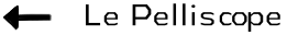 pellichi logo